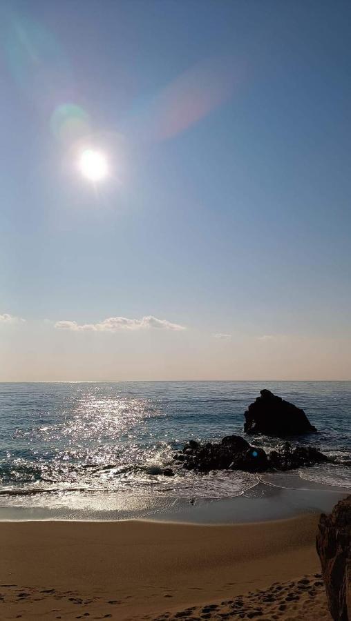 Cannes & More Dış mekan fotoğraf