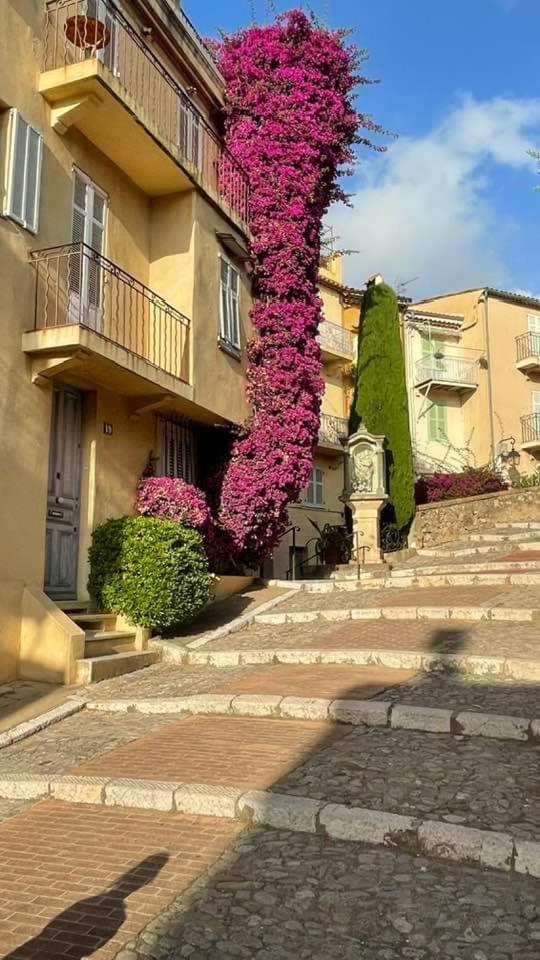 Cannes & More Dış mekan fotoğraf