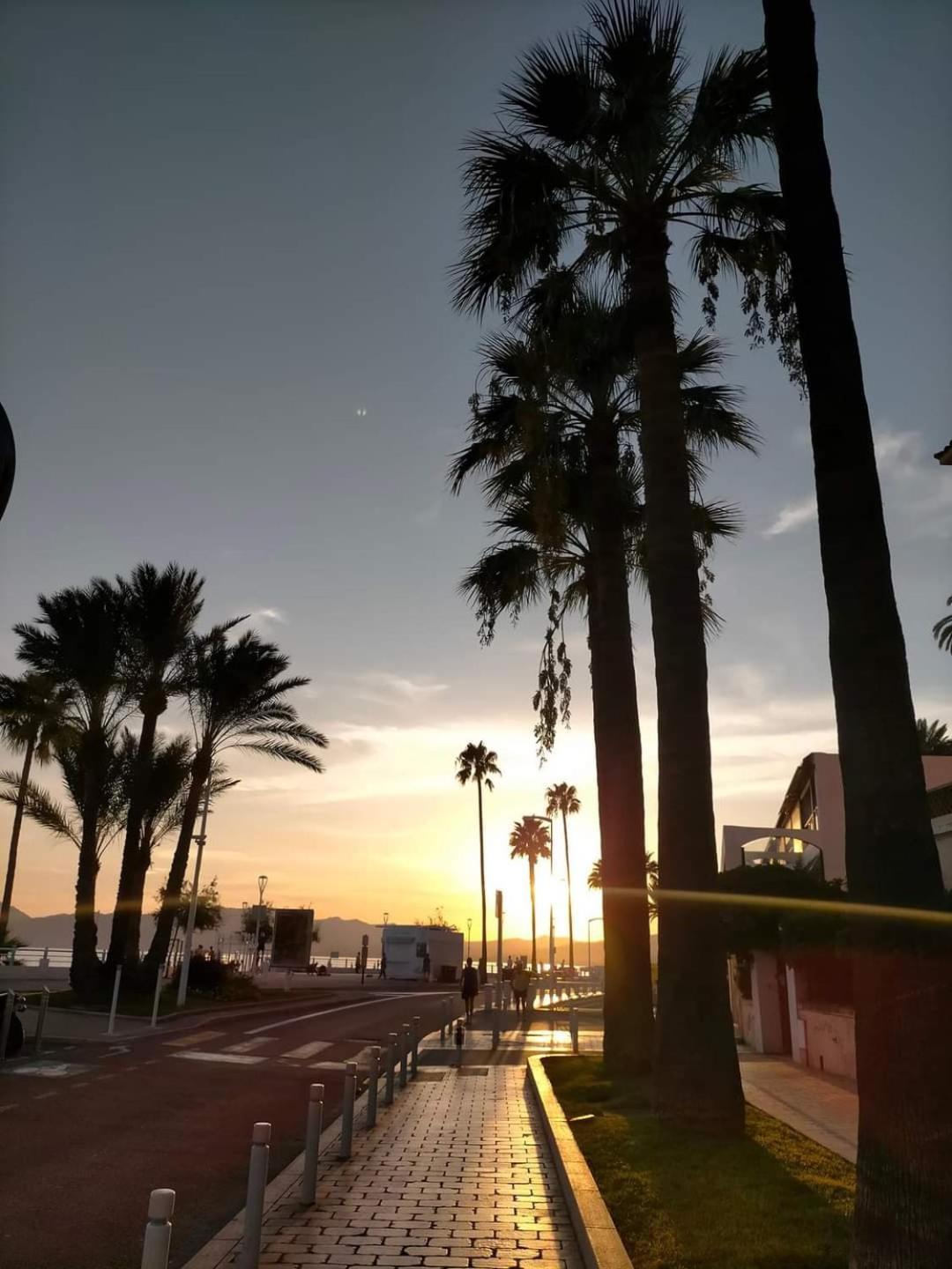 Cannes & More Dış mekan fotoğraf